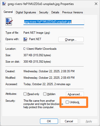 File Explorer Desbloquear arquivo para visualizações